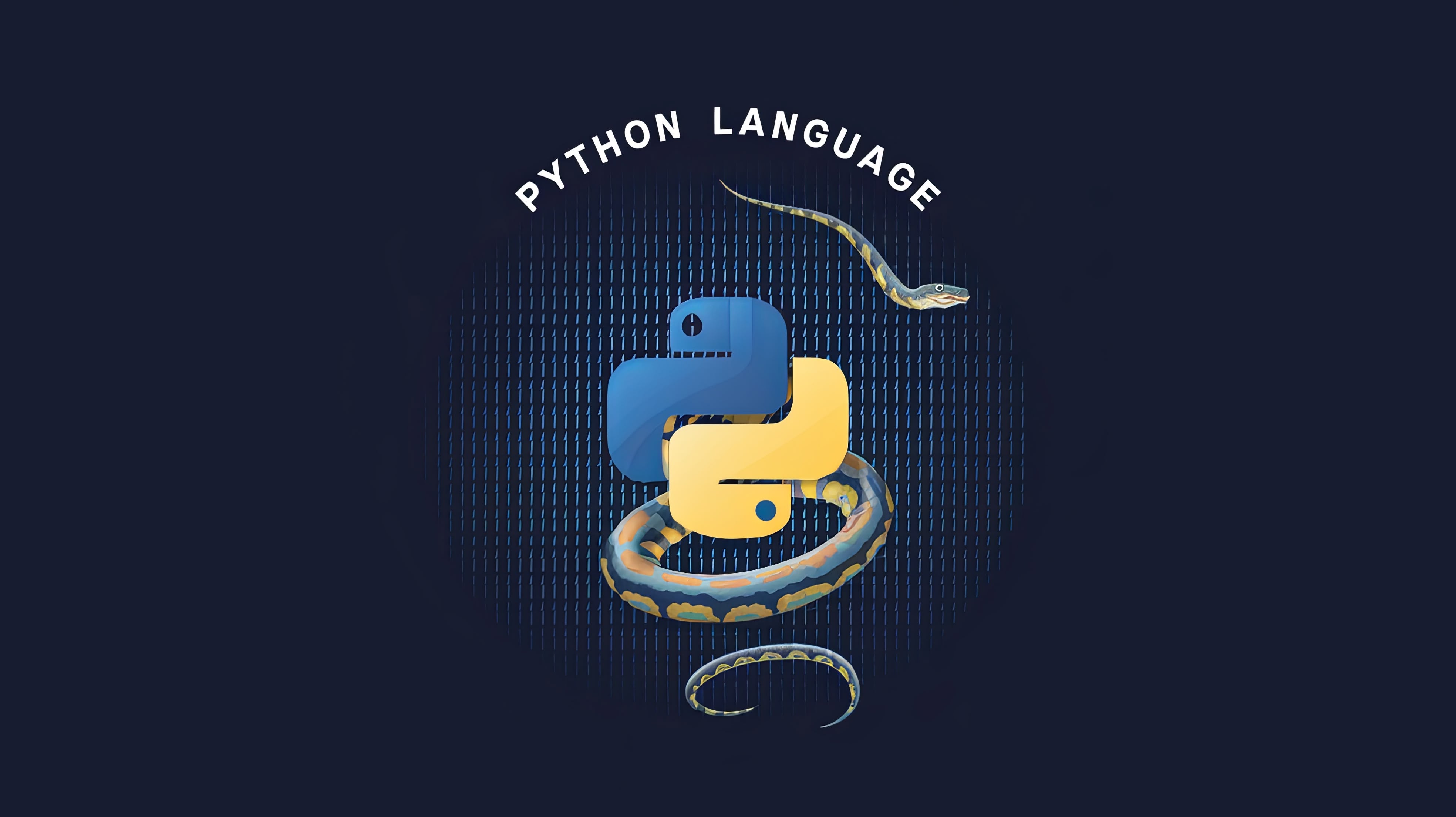 Python Programming